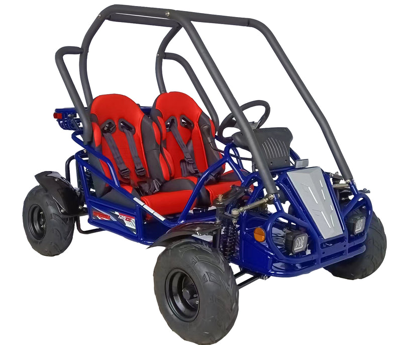 125cc Mini Raptor 2-Seater Go-Kart | Automatic F-N-R | Electric Start | Dual Disc Brakes