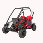 125cc Mini Raptor 2-Seater Go-Kart | Automatic F-N-R | Electric Start | Dual Disc Brakes