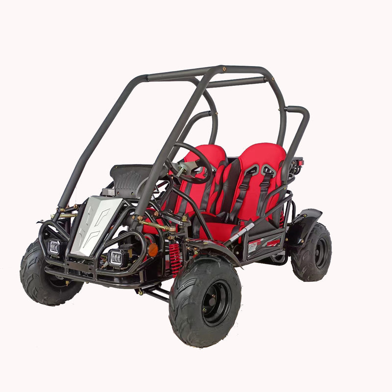 125cc Mini Raptor 2-Seater Go-Kart | Automatic F-N-R | Electric Start | Dual Disc Brakes
