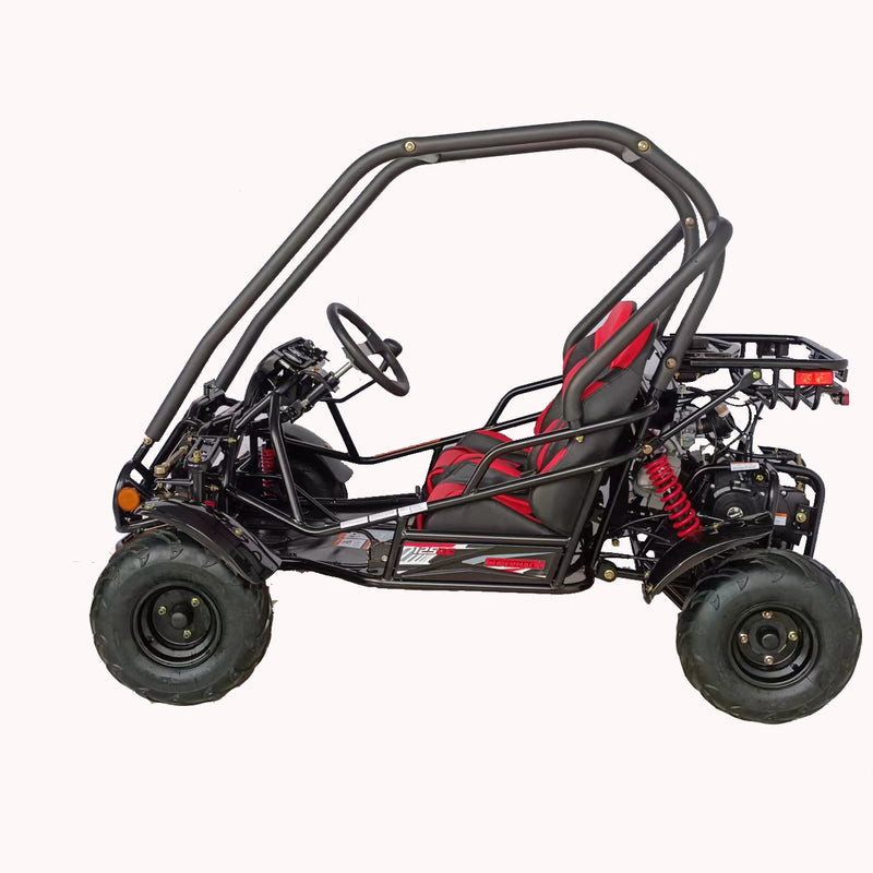 125cc Mini Raptor 2-Seater Go-Kart | Automatic F-N-R | Electric Start | Dual Disc Brakes