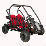 125cc Mini Raptor 2-Seater Go-Kart | Automatic F-N-R | Electric Start | Dual Disc Brakes