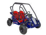 125cc Mini Raptor 2-Seater Go-Kart | Automatic F-N-R | Electric Start | Dual Disc Brakes