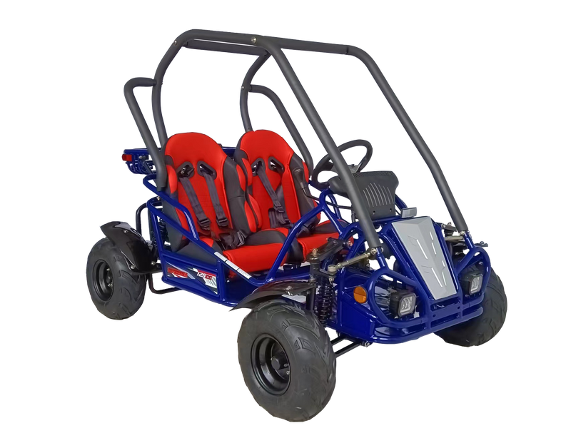 125cc Mini Raptor 2-Seater Go-Kart | Automatic F-N-R | Electric Start | Dual Disc Brakes