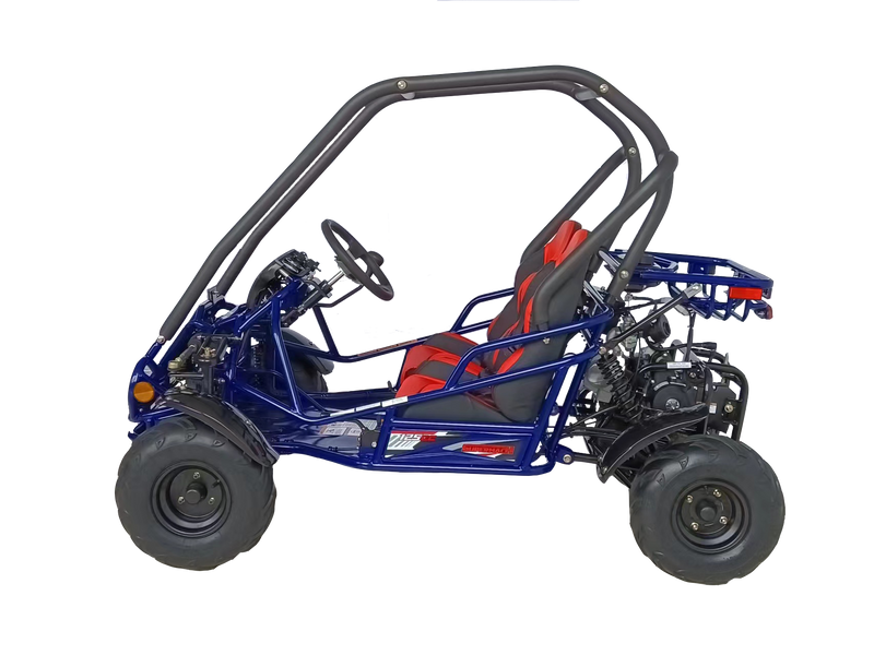 125cc Mini Raptor 2-Seater Go-Kart | Automatic F-N-R | Electric Start | Dual Disc Brakes