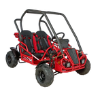 125cc Mini Raptor 2-Seater Go-Kart | Automatic F-N-R | Electric Start | Dual Disc Brakes