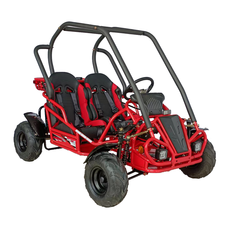 125cc Mini Raptor 2-Seater Go-Kart | Automatic F-N-R | Electric Start | Dual Disc Brakes