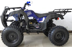 200cc Youth ATV Full-Size | 56L-200
