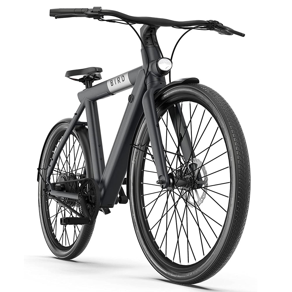 Bird-A-Frame EBike, 500Watt Motor, 50mi Max Range, 20mph Max Speed, Embedded Dash Display, Removable Battery, And App Compatible