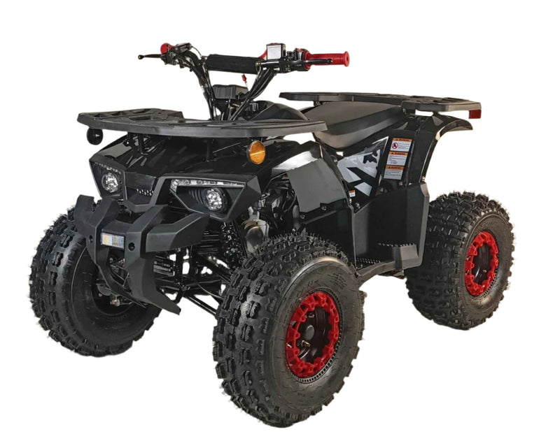 125cc Youth ATV 2025 Model | Electric Start | Chain Drive | Hydraulic Disc Brake
