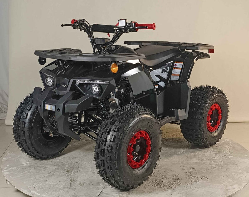 125cc Youth ATV 2025 Model | Electric Start | Chain Drive | Hydraulic Disc Brake