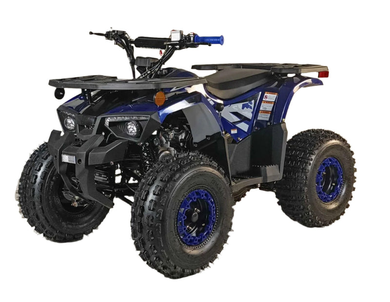 125cc Youth ATV 2025 Model | Electric Start | Chain Drive | Hydraulic Disc Brake