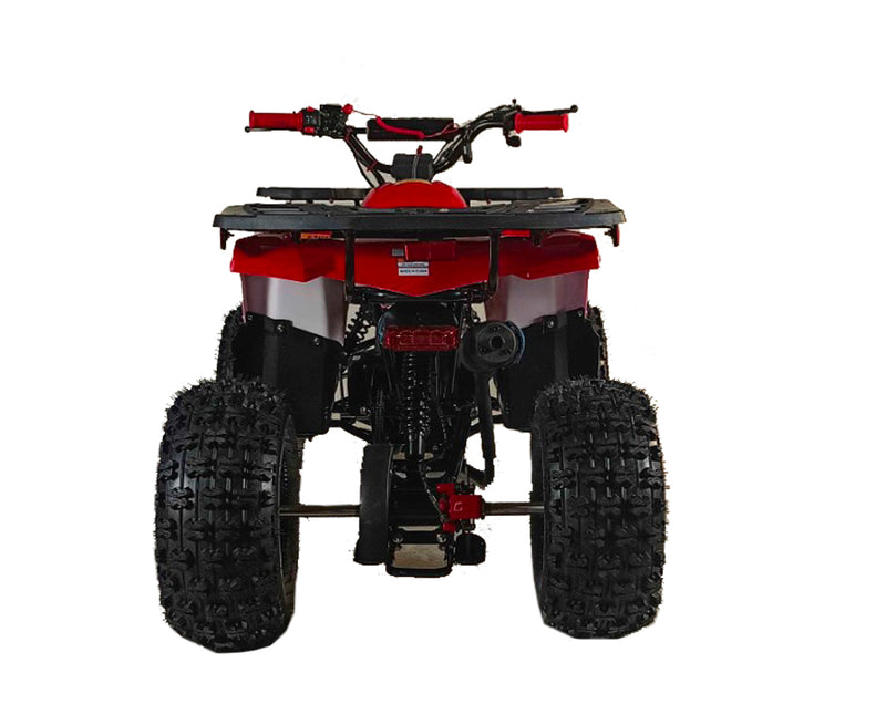 125cc Youth ATV 2025 Model | Electric Start | Chain Drive | Hydraulic Disc Brake