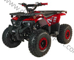 125cc Youth ATV 2025 Model | Electric Start | Chain Drive | Hydraulic Disc Brake