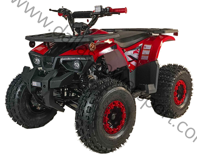 125cc Youth ATV 2025 Model | Electric Start | Chain Drive | Hydraulic Disc Brake