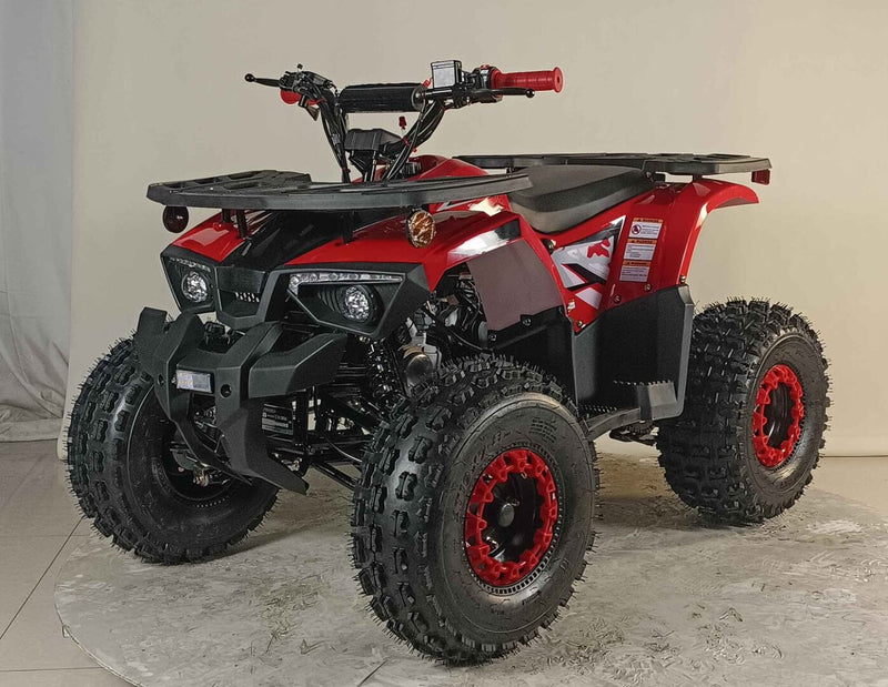 125cc Youth ATV 2025 Model | Electric Start | Chain Drive | Hydraulic Disc Brake