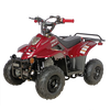 TaoTao Boulder B1 110cc Kids ATV (Automatic)