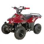 TaoTao Boulder B1 110cc Kids ATV (Automatic)
