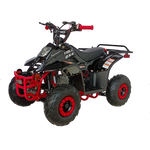 TaoTao Boulder B1 110cc Kids ATV (Automatic)