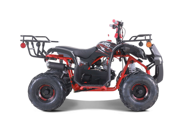 HHH D125 110cc Youth ATV | Fully Automatic w/ Reverse | Electric Start