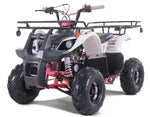 HHH D125 110cc Youth ATV | Fully Automatic w/ Reverse | Electric Start
