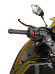 HHH 250cc Street Bike Pista 250 EFI Motorcycle Fuel Injection Manual 6 Speed for Adult Gas Bike (Assembled Inside a Crate)