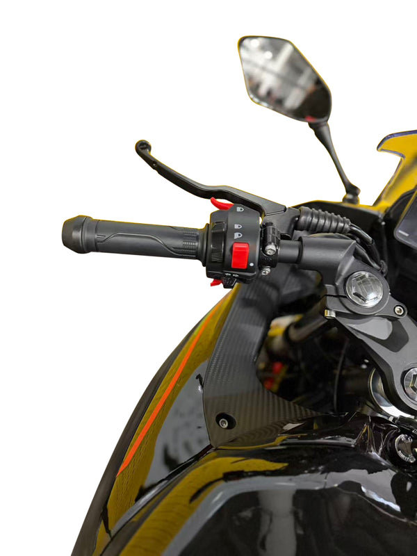 HHH 250cc Street Bike Pista 250 EFI Motorcycle Fuel Injection Manual 6 Speed for Adult Gas Bike (Assembled Inside a Crate)