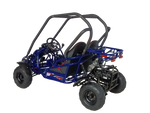 GKT125-9 125cc Go-Kart | Electric Start | Hydraulic Disc Brake | Chain Drive