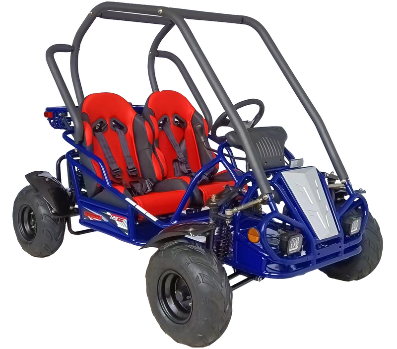 GKT125-9 125cc Go-Kart | Electric Start | Hydraulic Disc Brake | Chain Drive