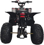 HHH 125cc ATV HCT125-C | Fully Automatic + Reverse | Big 19″/18″ Tires