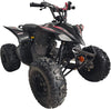 HHH 125cc ATV HCT125-C | Fully Automatic + Reverse | Big 19″/18″ Tires