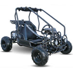 125cc Mini Raptor 2-Seater Go-Kart | Automatic F-N-R | Electric Start | Dual Disc Brakes
