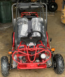 125cc Mini Raptor 2-Seater Go-Kart | Automatic F-N-R | Electric Start | Dual Disc Brakes