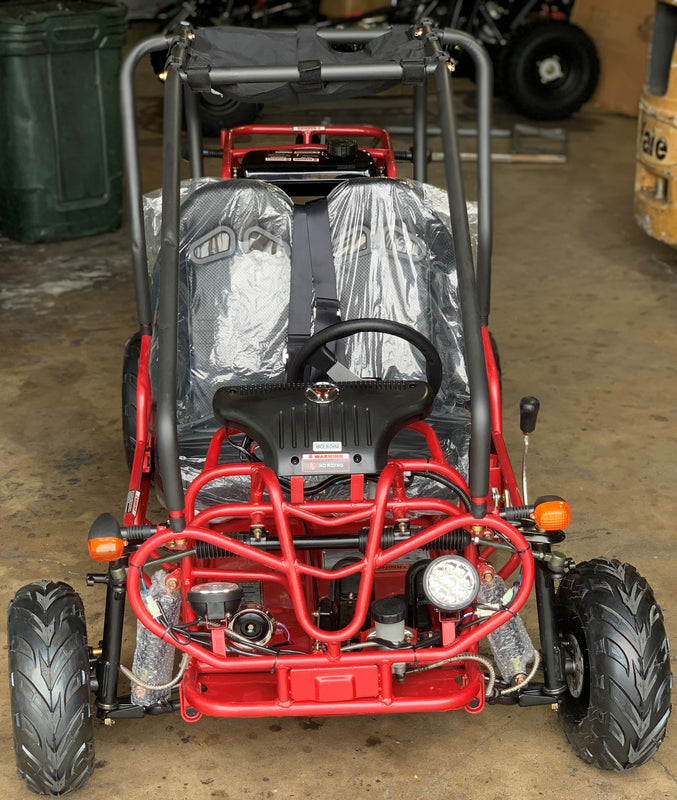 125cc Mini Raptor 2-Seater Go-Kart | Automatic F-N-R | Electric Start | Dual Disc Brakes