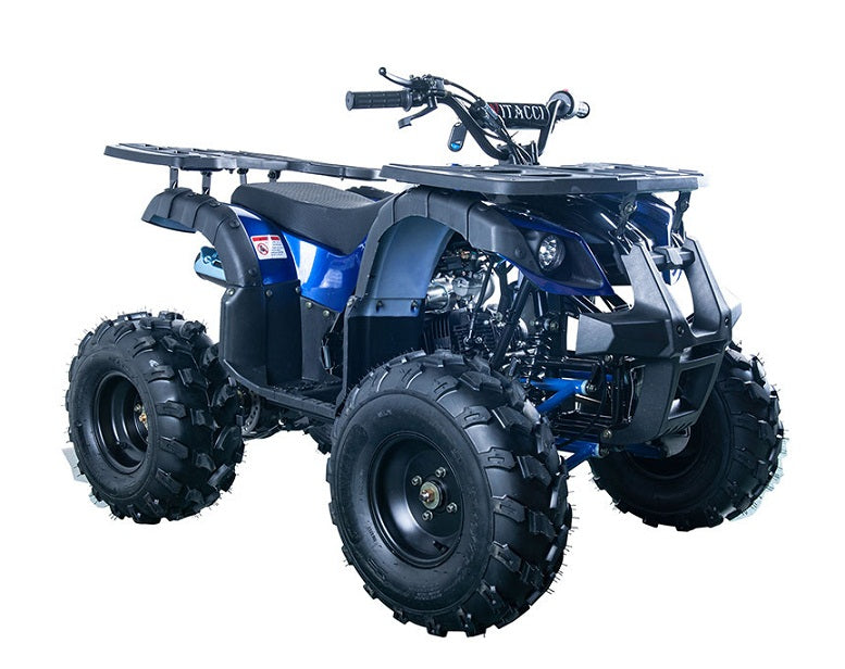 Rider-10 125cc ATV