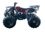 Rider-10 125cc ATV