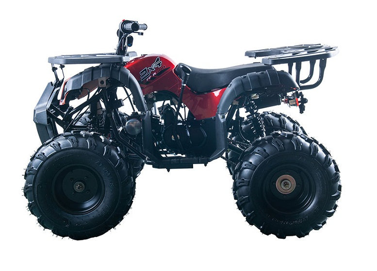 RIDER-10 125cc ATV, SINGLE CYLINDER,4 STROKE ( CARB Approved )