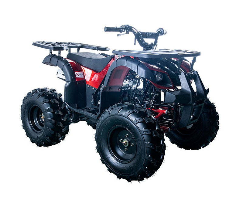 RIDER-10 125cc ATV, SINGLE CYLINDER,4 STROKE ( CARB Approved )