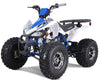 TaoTao Cheetah Platinum 125cc ATV | Fully Automatic + Reverse | 4-Stroke