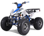 TaoTao Cheetah Platinum 125cc ATV | Fully Automatic + Reverse | 4-Stroke