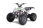 TaoTao Cheetah Platinum 125cc ATV | Fully Automatic + Reverse | 4-Stroke