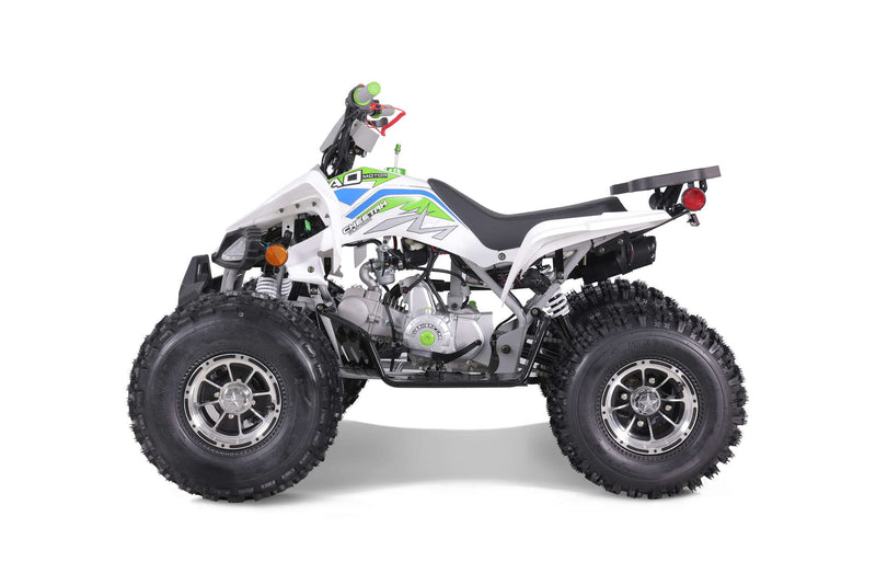 TaoTao Cheetah Platinum 125cc ATV | Fully Automatic + Reverse | 4-Stroke