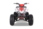 TaoTao Cheetah Platinum 125cc ATV | Fully Automatic + Reverse | 4-Stroke