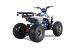 TaoTao Cheetah Platinum 125cc ATV | Fully Automatic + Reverse | 4-Stroke