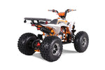 TaoTao Cheetah Platinum 125cc ATV | Fully Automatic + Reverse | 4-Stroke
