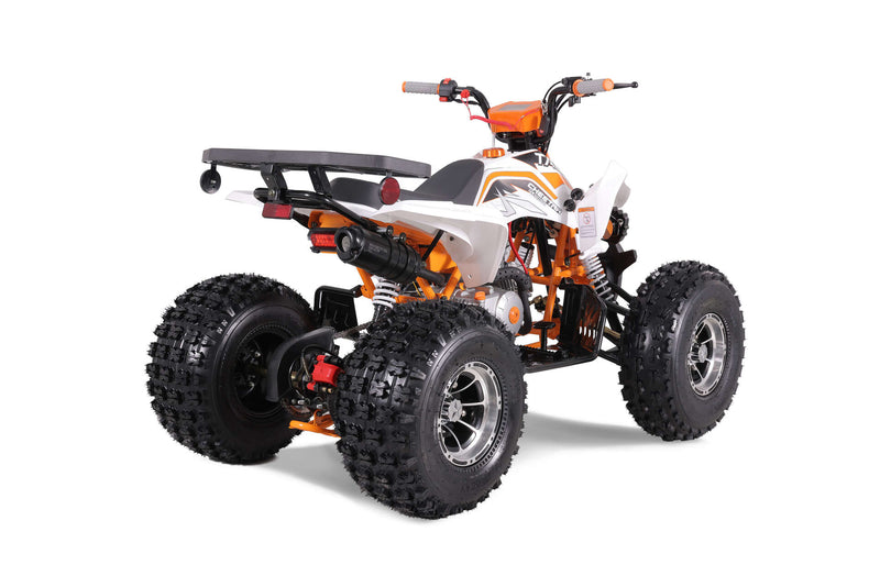 TaoTao Cheetah Platinum 125cc ATV | Fully Automatic + Reverse | 4-Stroke