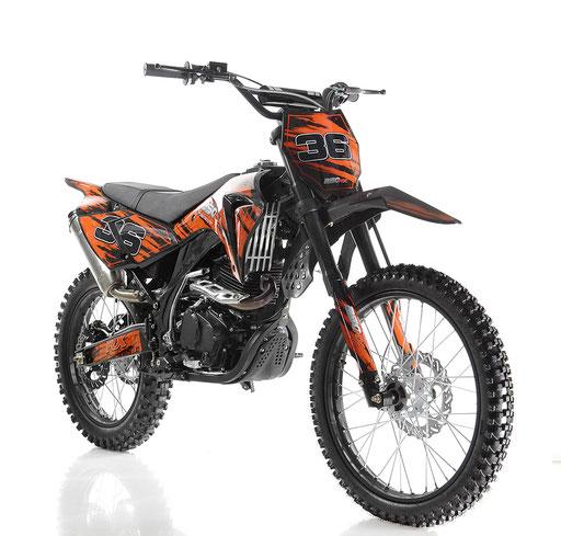 Apollo DB-36 250cc Dirt Bike | Manual Clutch 5-Speed | Off-Road (Non-CARB)