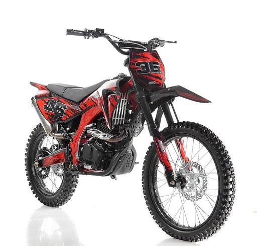Apollo DB-36 250cc Dirt Bike | Manual Clutch 5-Speed | Off-Road (Non-CARB)