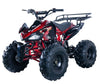 Vitacci JET-9 125cc ATV | OHC 4-Stroke | Automatic with Reverse | CARB Approved