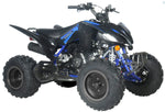 Vitacci Pentora 200 EFI ATV | EFI | Automatic + Reverse | California Approved