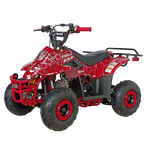 TaoTao Boulder B1 110cc Kids ATV (Automatic)